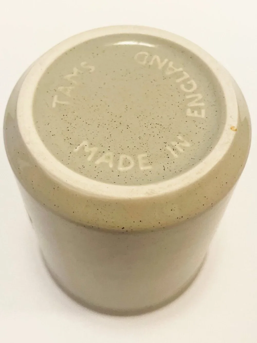 Vintage Nelson's Resort Crane Lake Minnesota MN Speckled Ceramic Coffee Mug
